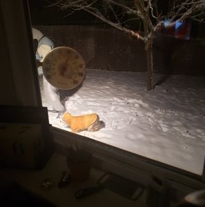 Meet your Posher, Debra